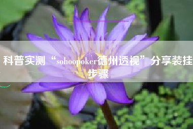 科普实测“sohoopoker德州透视	”分享装挂步骤