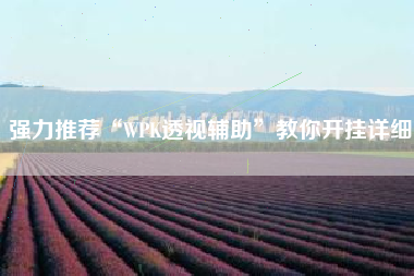 强力推荐“WPK透视辅助”教你开挂详细