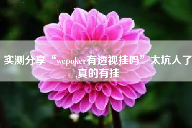 实测分享“wepoker有透视挂吗”太坑人了,真的有挂