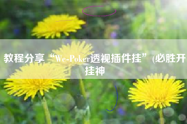 教程分享“We-Poker透视插件挂”(必胜开挂神