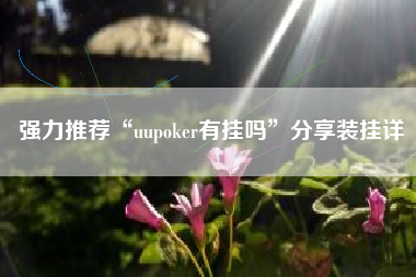 强力推荐“uupoker有挂吗	”分享装挂详