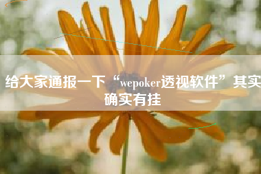 给大家通报一下“wepoker透视软件”其实确实有挂