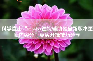 科学直击“wepoker透视辅助器最新版本更新内容分”真实开挂技巧分享