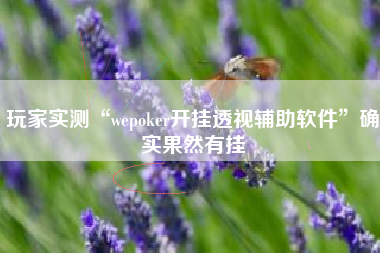 玩家实测“wepoker开挂透视辅助软件”确实果然有挂