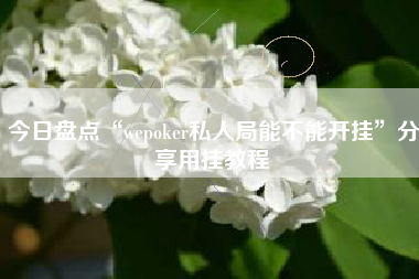 今日盘点“wepoker私人局能不能开挂”分享用挂教程