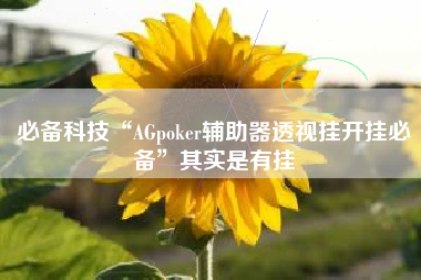 必备科技“AGpoker辅助器透视挂开挂必备”其实是有挂
