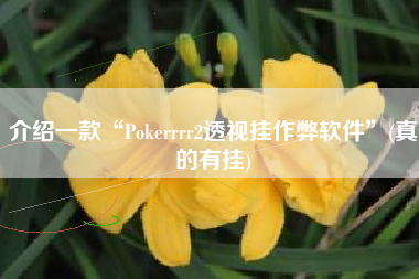 介绍一款“Pokerrrr2透视挂作弊软件”(真的有挂)