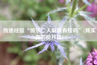 传递经验“微乐二人麻将有挂吗”(其实真的能开挂)