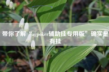 带你了解“agpoker辅助挂专用版”确实是有挂