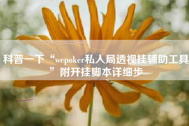 科普一下“wepoker私人局透视挂辅助工具”附开挂脚本详细步