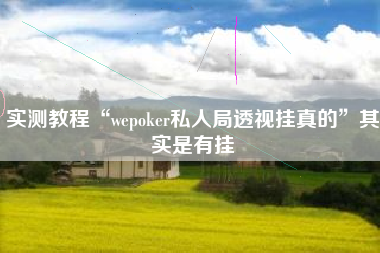 实测教程“wepoker私人局透视挂真的”其实是有挂