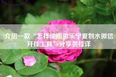 介绍一款“怎样使用微乐宁夏划水微信开挂工具”分享装挂详