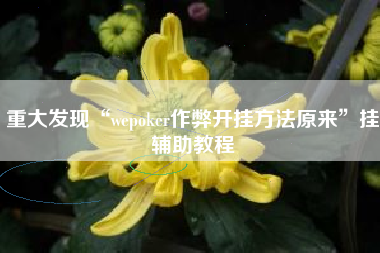 重大发现“wepoker作弊开挂方法原来	”挂辅助教程