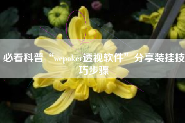必看科普“wepoker透视软件”分享装挂技巧步骤