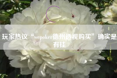 玩家热议“wepoker德州透视购买	”确实是有挂