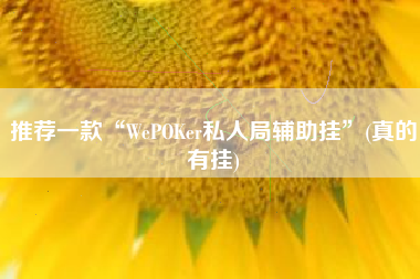 推荐一款“WePOKer私人局辅助挂”(真的有挂)