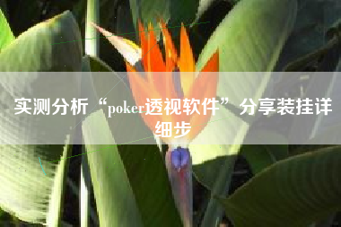 实测分析“poker透视软件”分享装挂详细步
