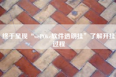 终于呈现“wePOke软件透明挂”了解开挂过程