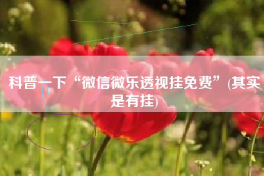 科普一下“微信微乐透视挂免费”(其实是有挂)