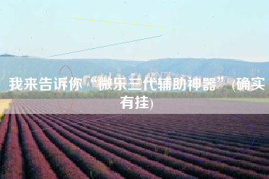 我来告诉你“微乐三代辅助神器”(确实有挂)