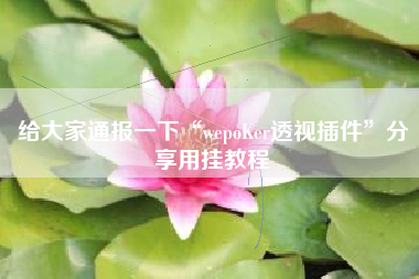 给大家通报一下“wepoKer透视插件	”分享用挂教程