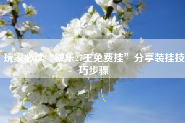 玩家必读“微乐27王免费挂	”分享装挂技巧步骤