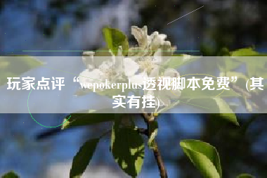 玩家点评“wepokerplus透视脚本免费”(其实有挂)