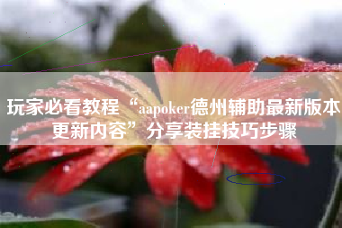 玩家必看教程“aapoker德州辅助最新版本更新内容”分享装挂技巧步骤