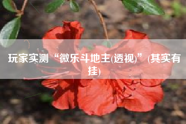 玩家实测“微乐斗地主(透视)”(其实有挂)