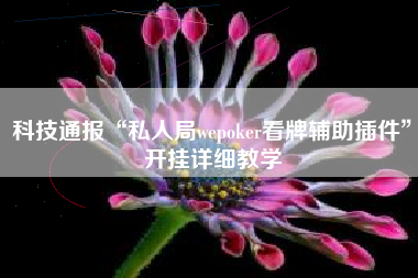 科技通报“私人局wepoker看牌辅助插件	”开挂详细教学