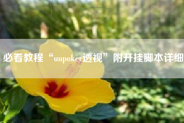 必看教程“uupoker透视”附开挂脚本详细 必看教程“uupoker透视”附开挂脚本详细