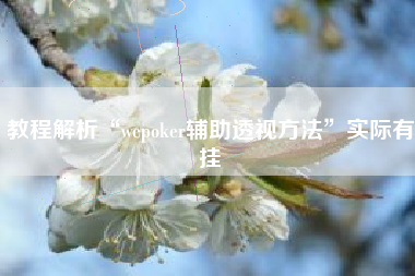 教程解析“wepoker辅助透视方法	”实际有挂