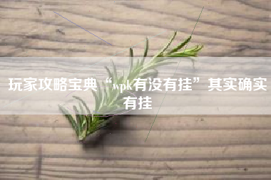 玩家攻略宝典“wpk有没有挂”其实确实有挂 玩家攻略宝典“wpk有没有挂”其实确实有挂