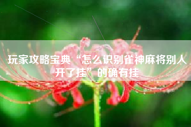 玩家攻略宝典“怎么识别雀神麻将别人开了挂”的确有挂