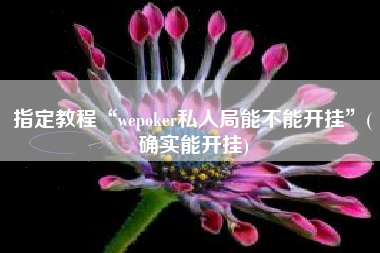 指定教程“wepoker私人局能不能开挂”(确实能开挂)