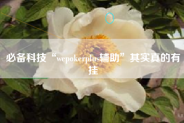 必备科技“wepokerplus辅助”其实真的有挂