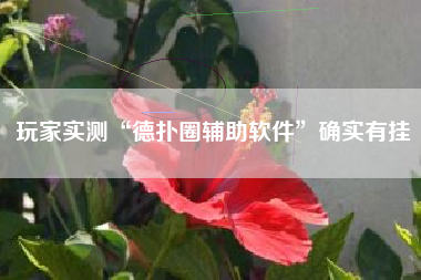 玩家实测“德扑圈辅助软件	”确实有挂