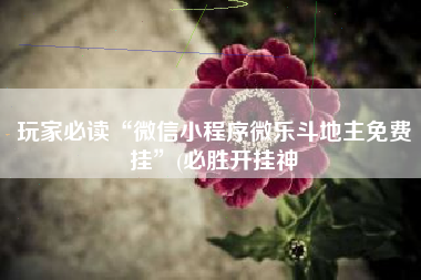 玩家必读“微信小程序微乐斗地主免费挂”(必胜开挂神