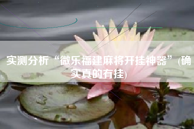 实测分析“微乐福建麻将开挂神器”(确实真的有挂)