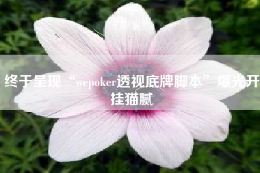 终于呈现“wepoker透视底牌脚本”爆光开挂猫腻