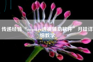 传递经验“wepoker透视辅助软件	”开挂详细教学