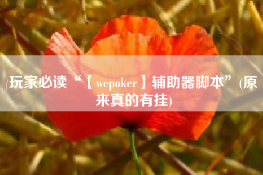 玩家必读“【wepoker】辅助器脚本	”(原来真的有挂)