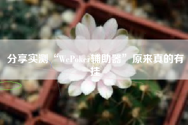 分享实测“WePoker辅助器”原来真的有挂