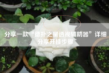 分享一款“德扑之星透视辅助器”详细分享开挂步骤