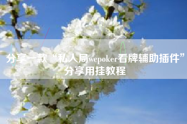 分享一款“私人局wepoker看牌辅助插件	”分享用挂教程