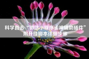 科学直击“微信小程序雀神辅助插件”附开挂脚本详细步骤