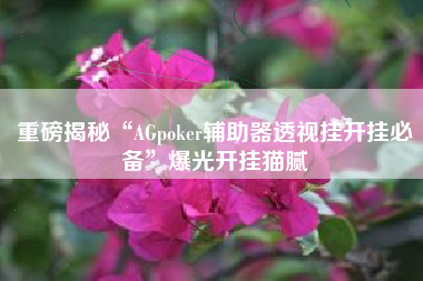 重磅揭秘“AGpoker辅助器透视挂开挂必备”爆光开挂猫腻 重磅揭秘“AGpoker辅助器透视挂开挂必备”爆光开挂猫腻