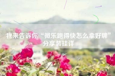 我来告诉你“微乐跑得快怎么拿好牌”分享装挂详