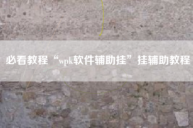 必看教程“wpk软件辅助挂	”挂辅助教程