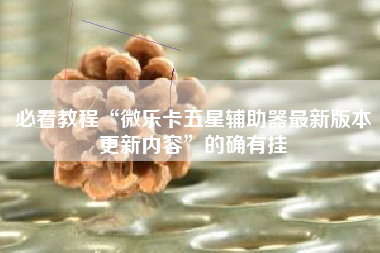 必看教程“微乐卡五星辅助器最新版本更新内容”的确有挂